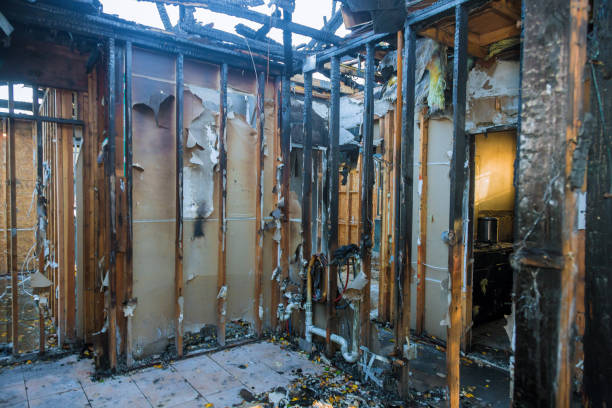 Professional Fire Damage Removal technician working in Bangs, TX